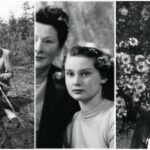 Arnoud Robert Alexander Quarles Van Ufford