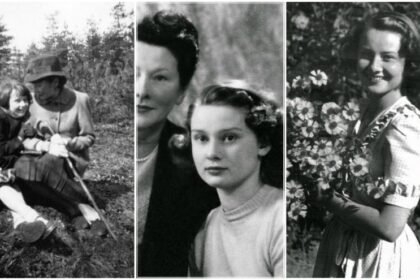 Arnoud Robert Alexander Quarles Van Ufford